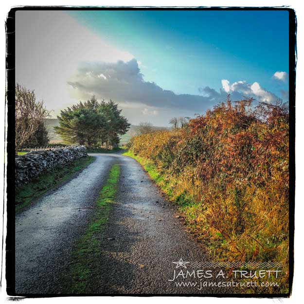 Autumn Country Road