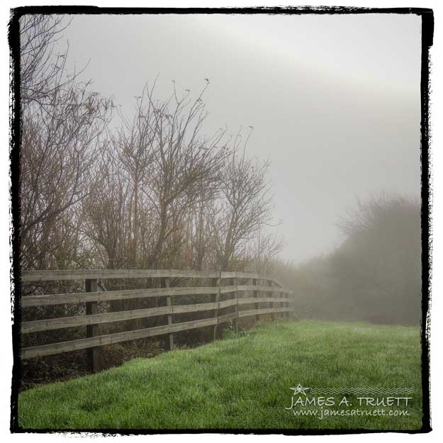 A fence in the Irish morning fog