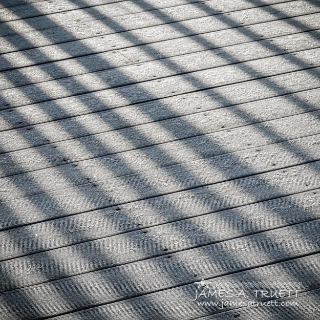 Frosty Irish Morning