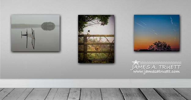 Photo Competition Entries