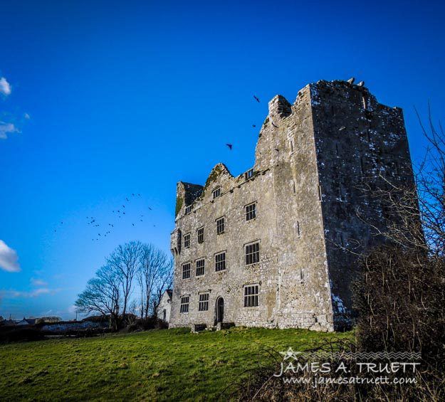 Birds of Ireland's Leamaneh Castle