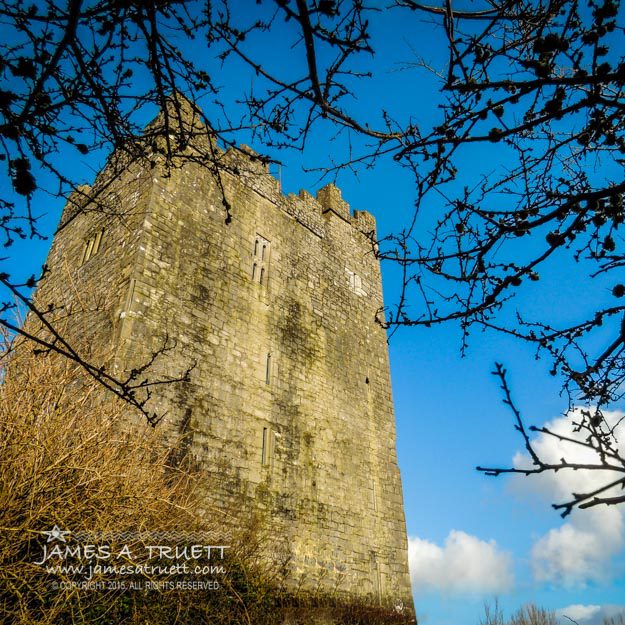 15th Century Dysert O'Dea Castle framed in Spring Tree Branches