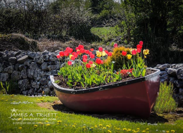 Rowboat Flower Planter in Corofin, County Clare