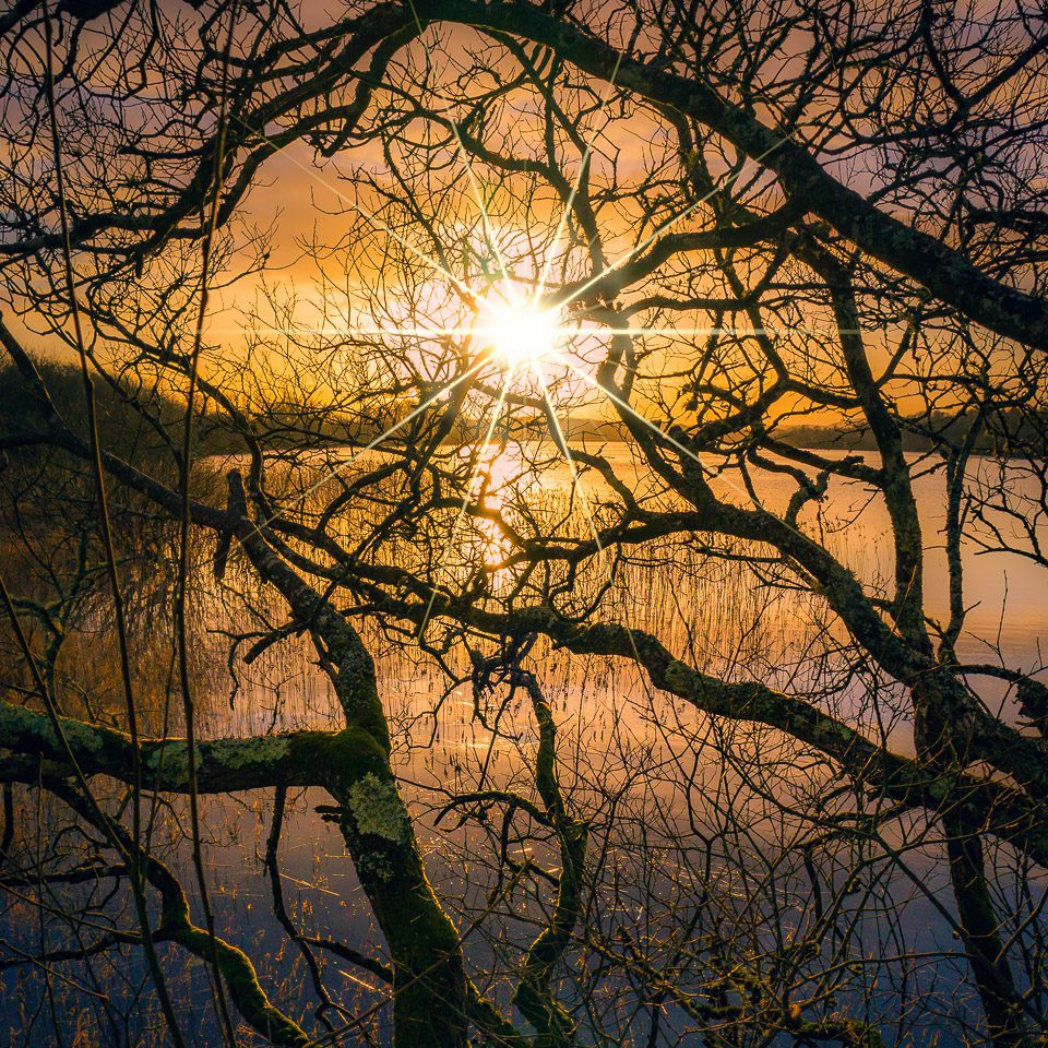 Lough Reflections at Dromore Wood