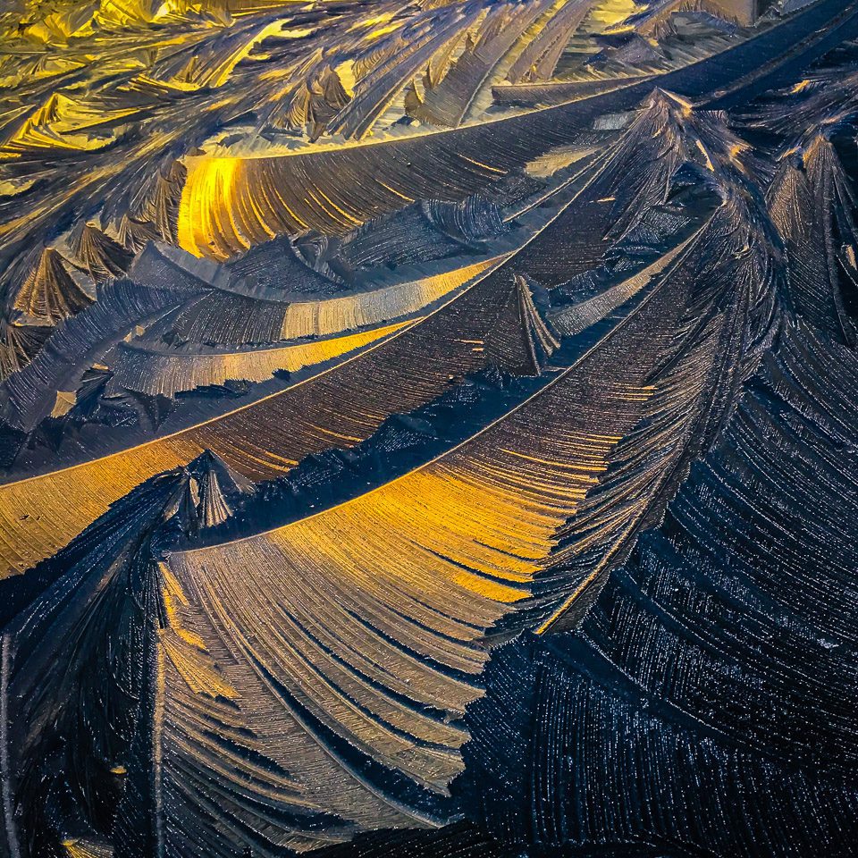 Frosty Artistry in the Irish Countryside