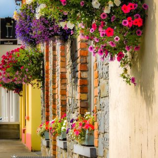 Kildysart flowers tidy towns
