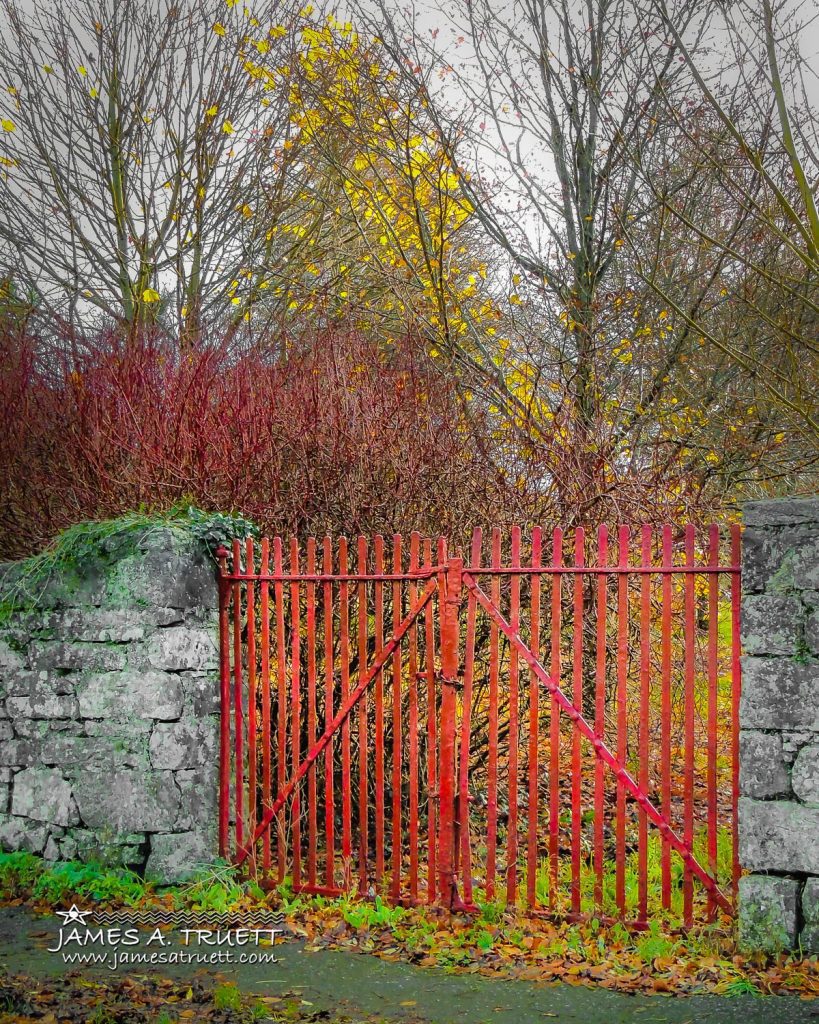 Red Gate in Autumn, County Galway