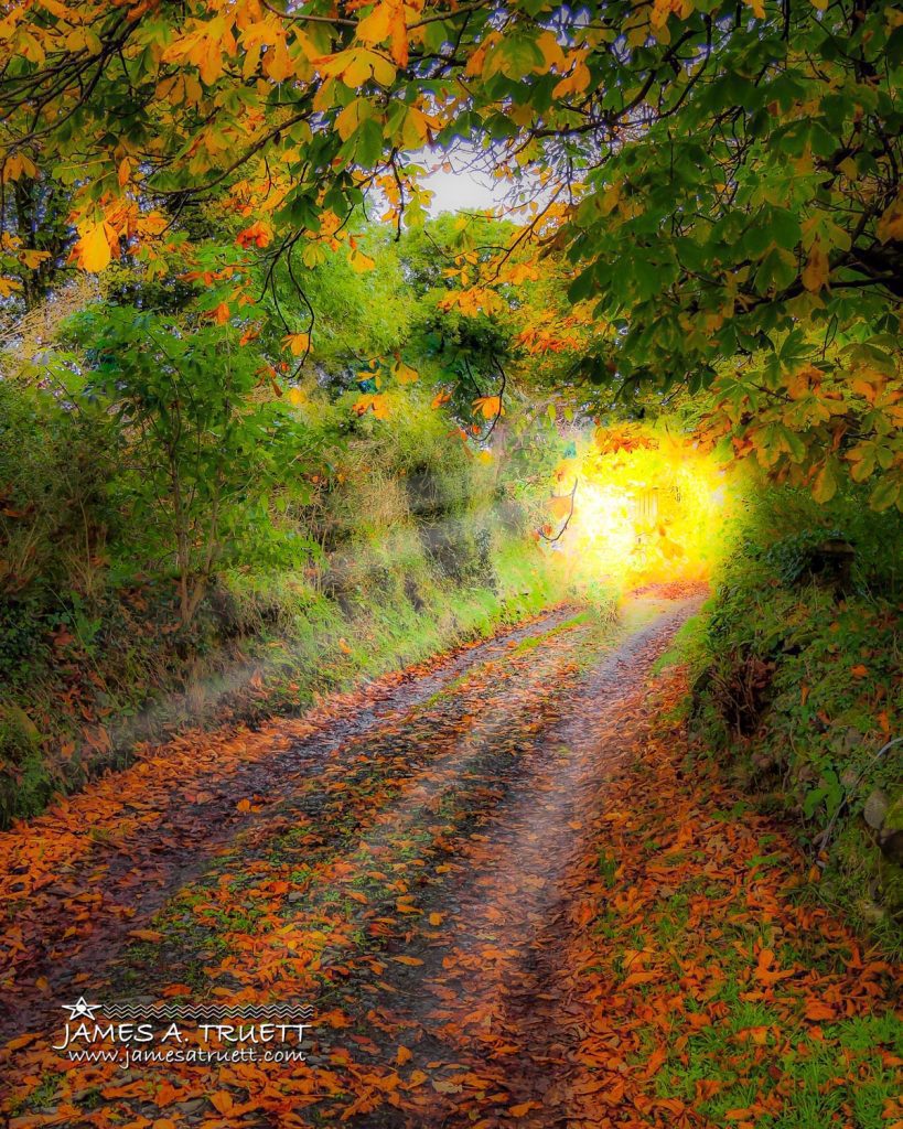 autumn path