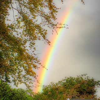 Autumn Rainbows in County Clare