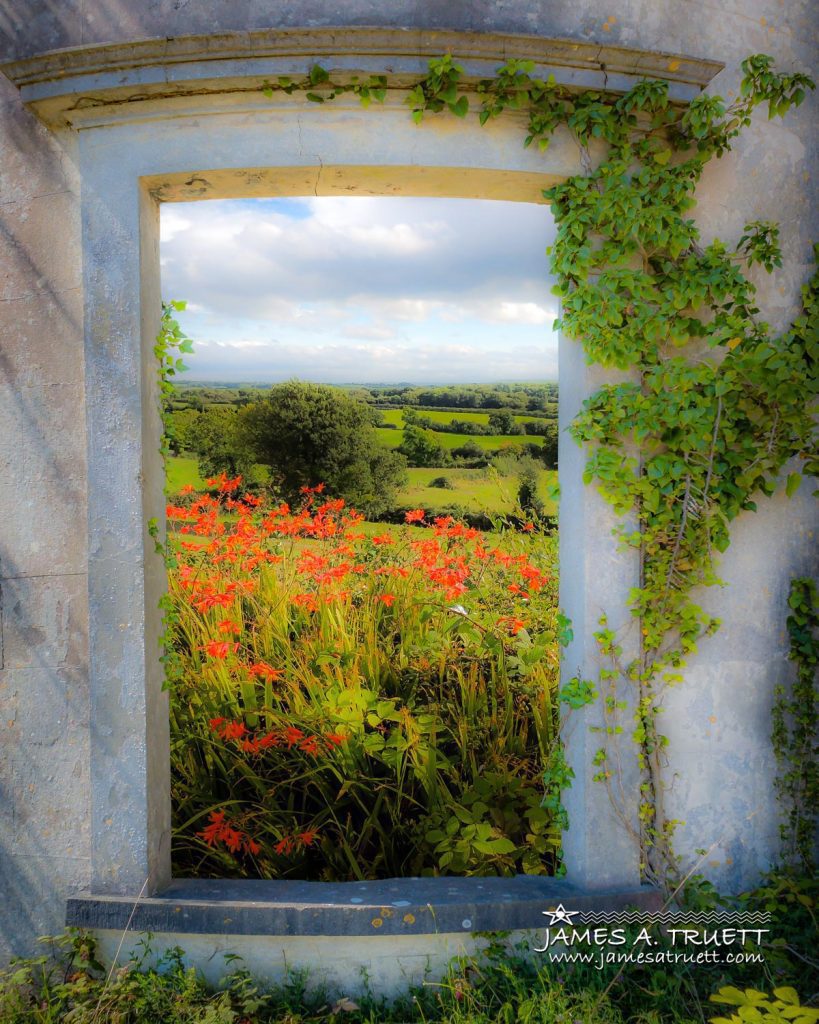 Summer in the County Clare Countryside