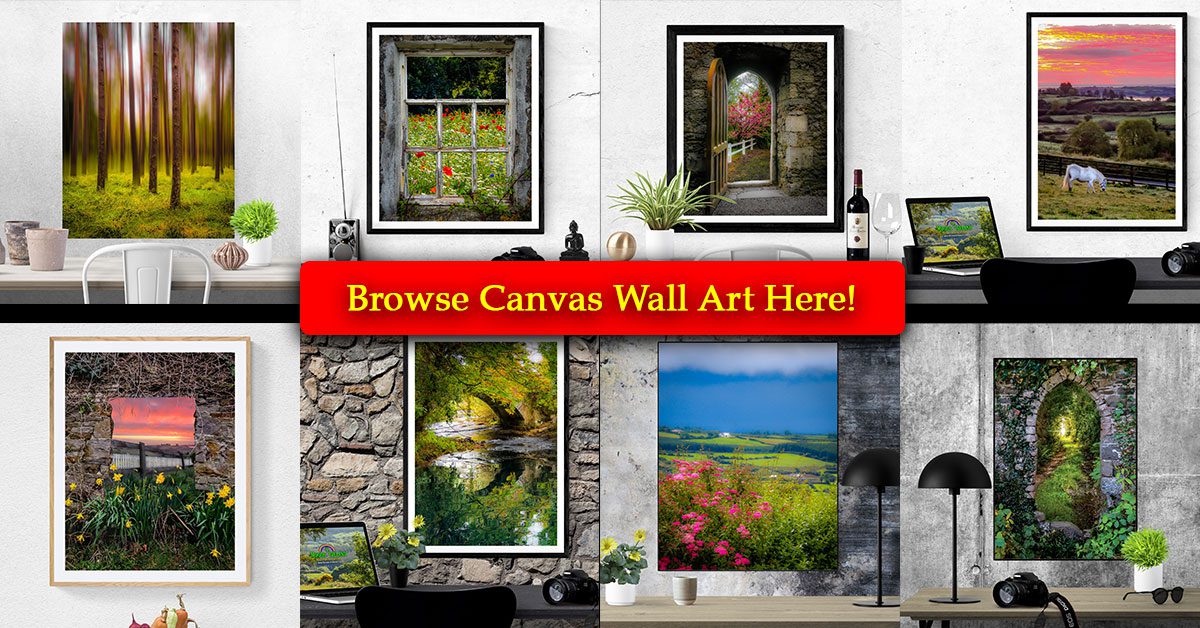 Canvas Wall Art