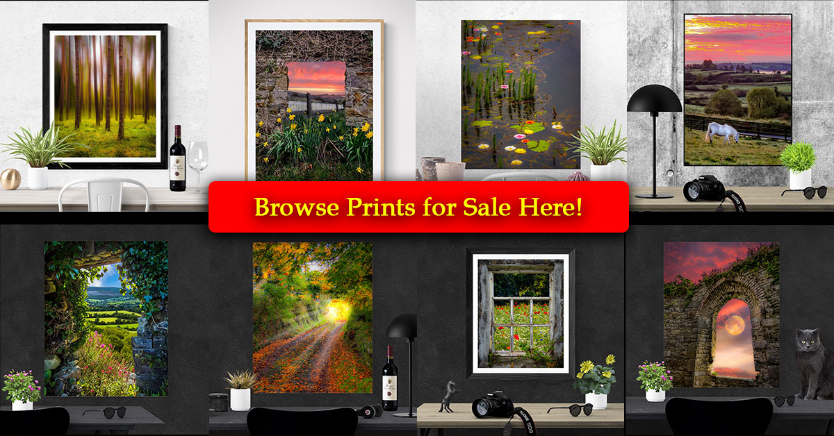 Prints for Sale