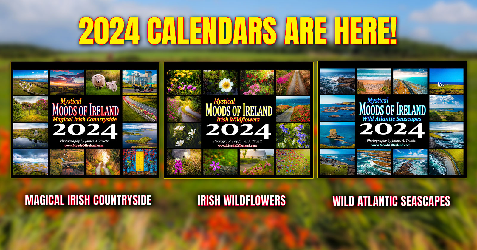2024 Moods of Ireland Calendars