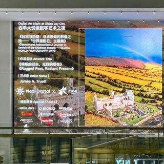 Rugged Past, Radiant Present on display at the Xidan Joy City Shopping Mall in Beijing, China.