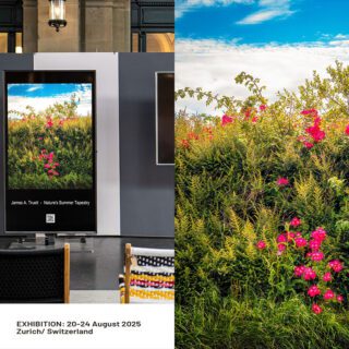 Nature's Summer Tapestry on display at Swiss Art Expo 2025.