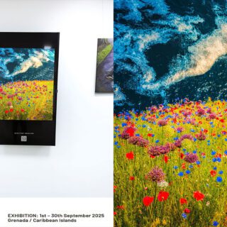 Beauty in Peril exhibited at Art Bar & Gallery, Grenada, West Indies.