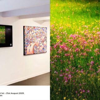 Grateful to have my art, "Irish Wildflower Meadow," exhibited at Casa del Arte Galeria in Palma, Mallorca, Spain for the month of August 2025.