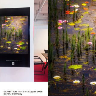 My art, "Flowers in the Castle Moat," on display at Nicoleta Gallery, Berlin, Germany, for the month of August 2025.