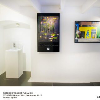 Casa del Arte, Project Palma, Palma de Mallorca, Spain.