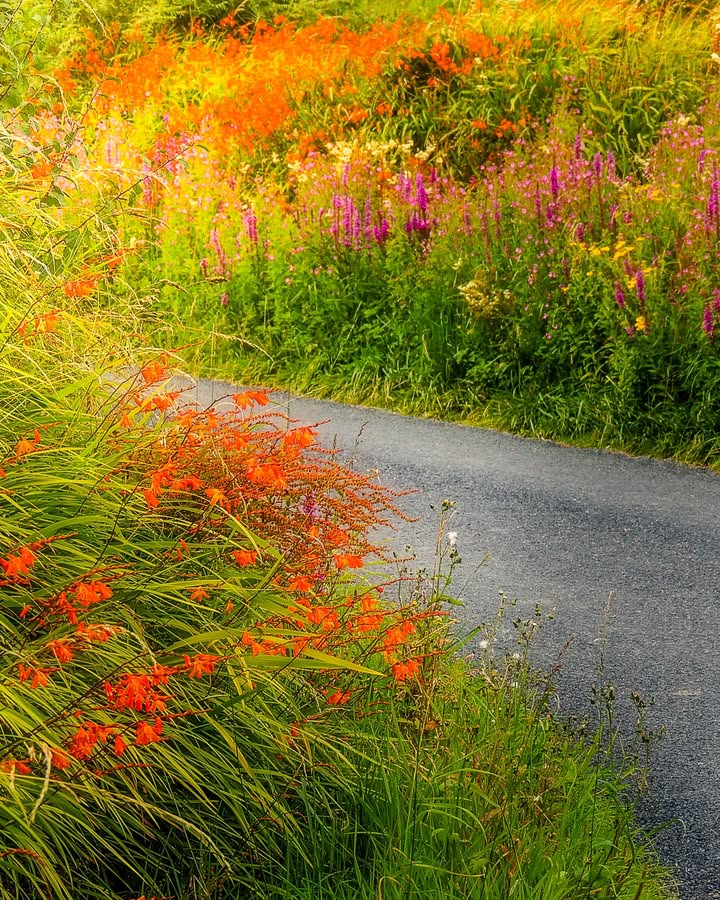 James A. Truett I Artist