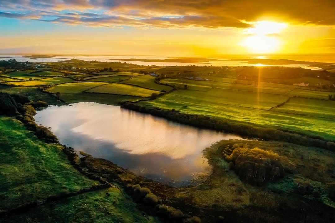 James A. Truett I Artist