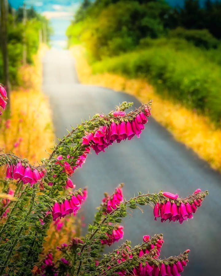 James A. Truett I Artist