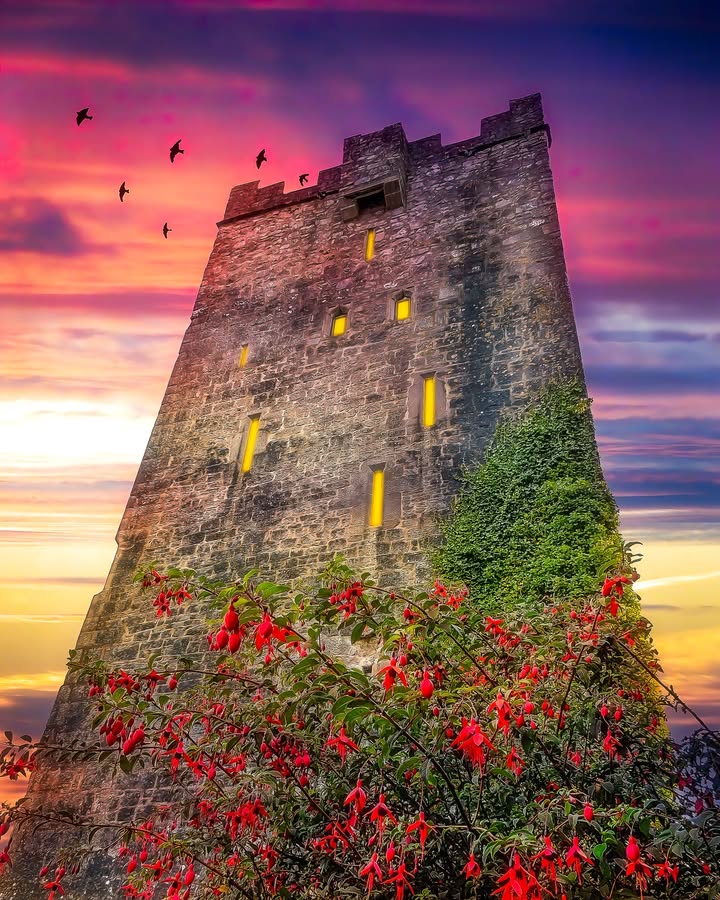 James A. Truett I Artist