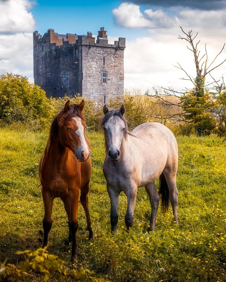 James A. Truett I Artist