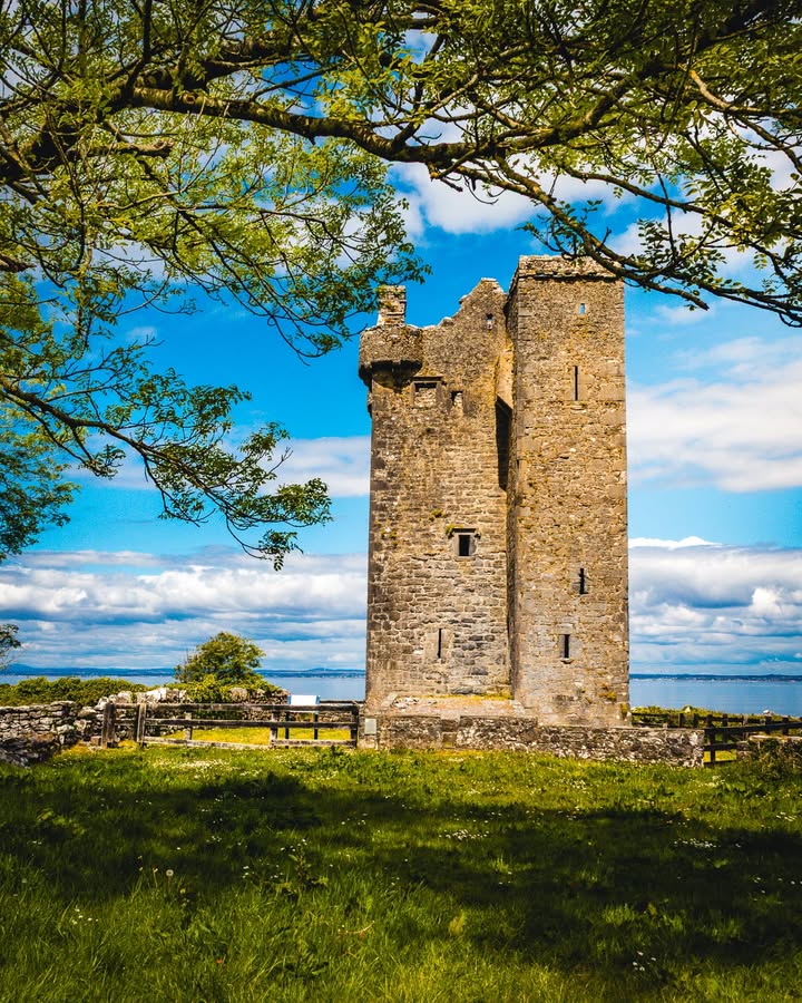 James A. Truett I Artist