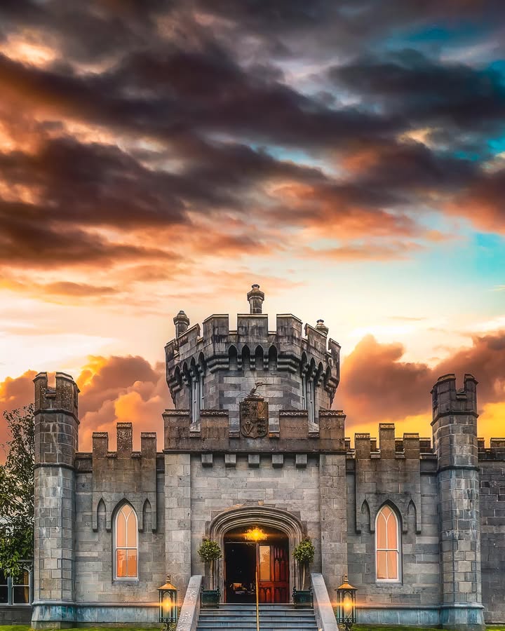 James A. Truett I Artist