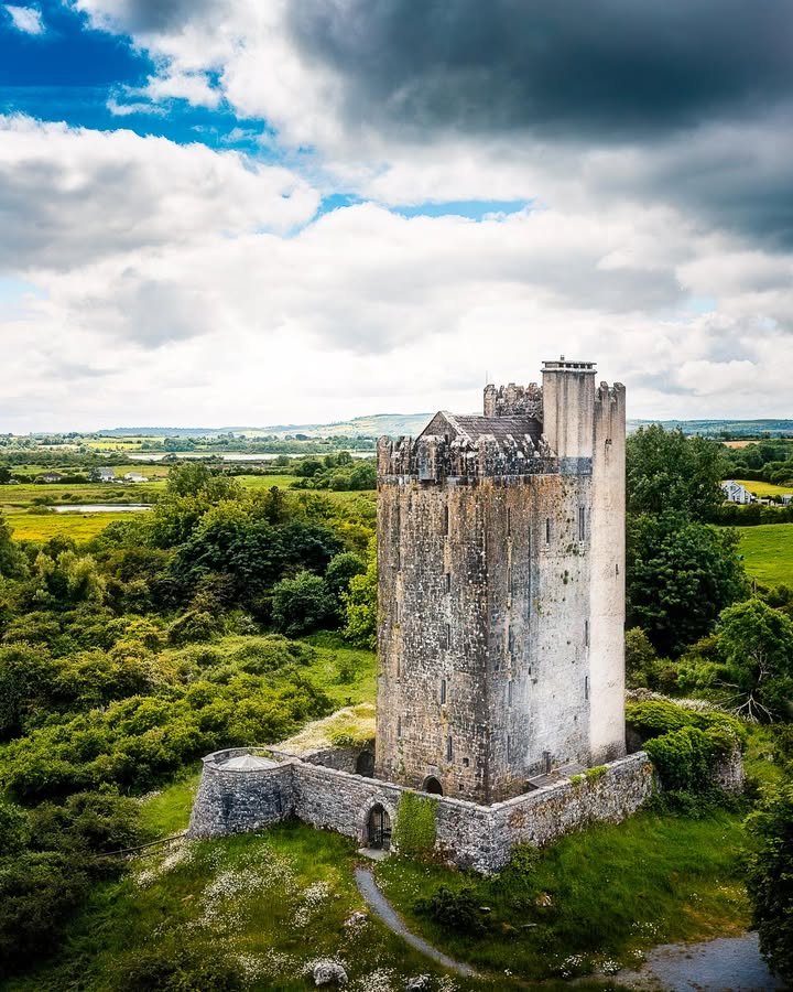 James A. Truett I Artist