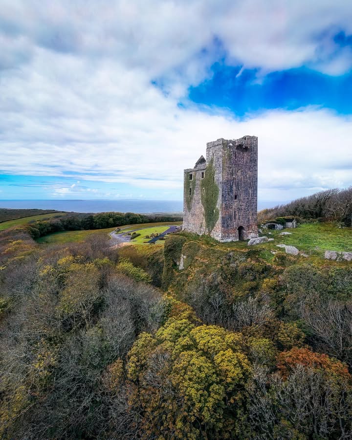 James A. Truett I Artist