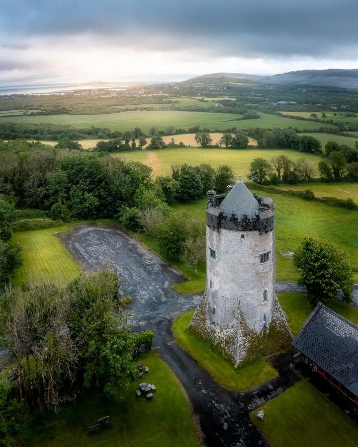 James A. Truett I Artist