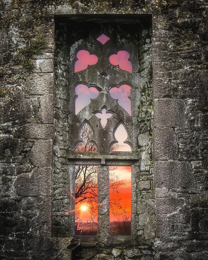 James A. Truett I Artist