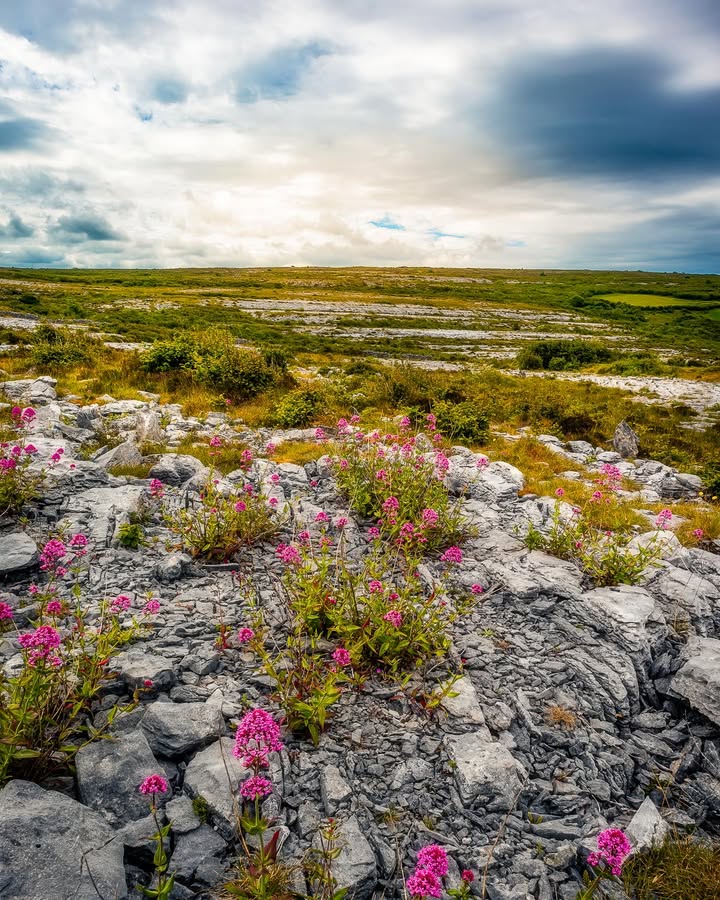 James A. Truett I Artist