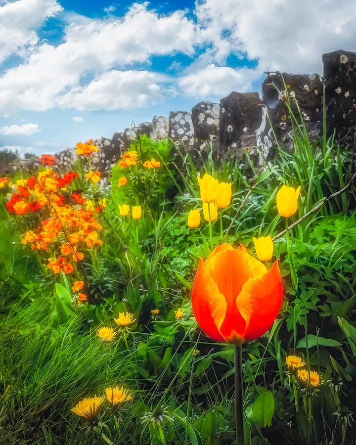 James A. Truett I Artist