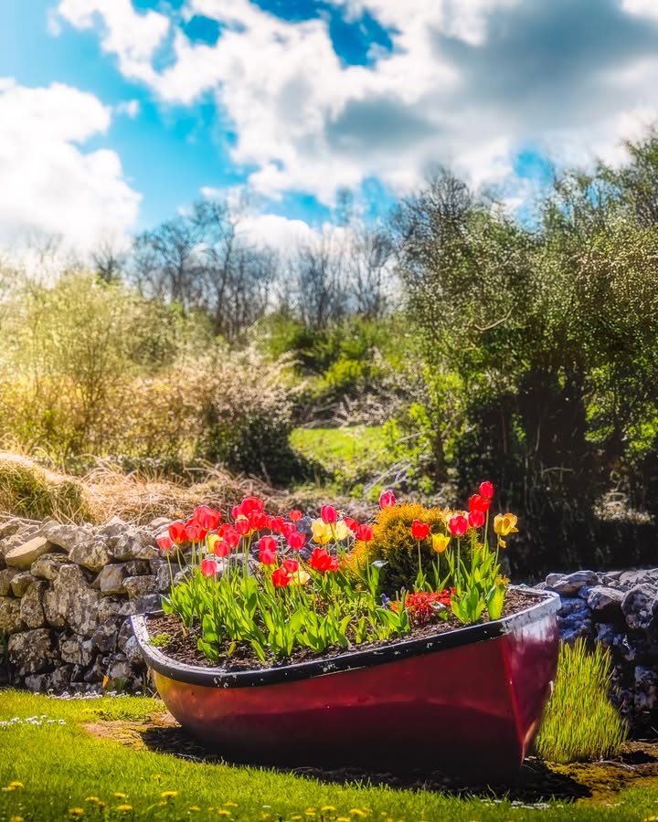 James A. Truett I Artist