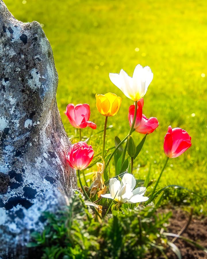 James A. Truett I Artist