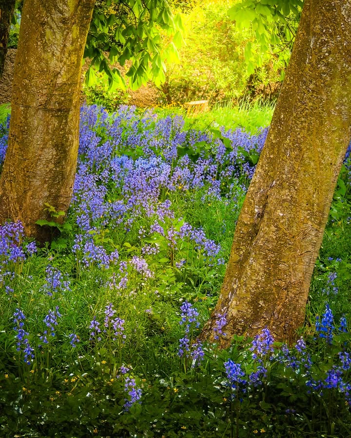 James A. Truett I Artist