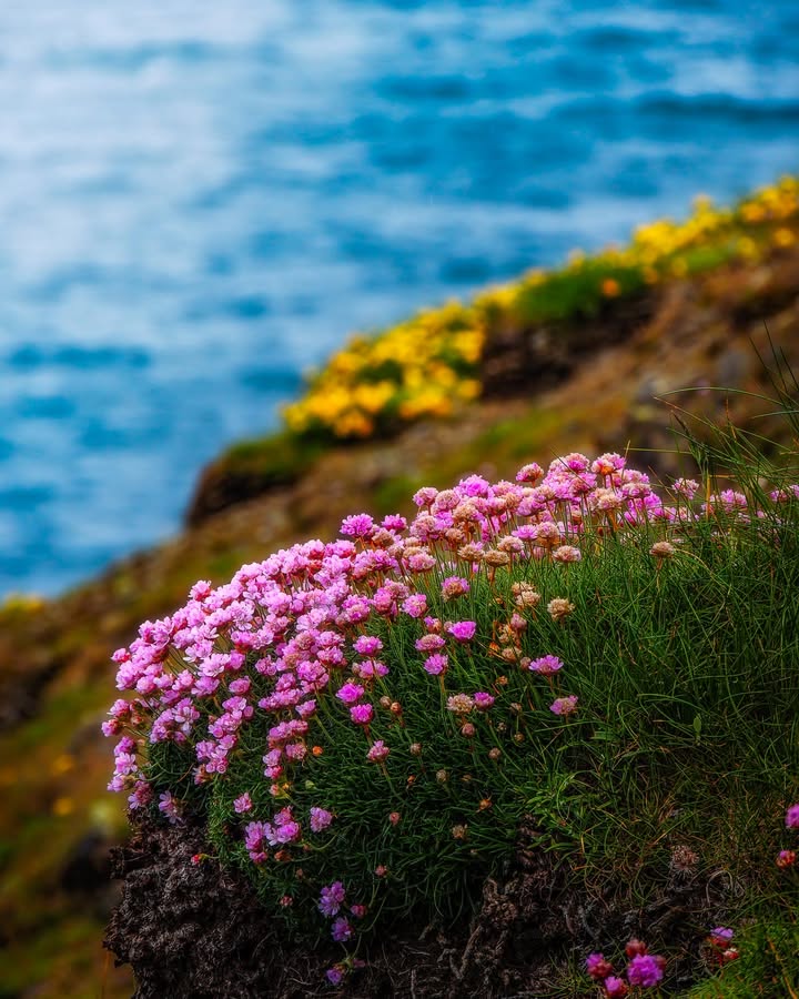 James A. Truett I Artist