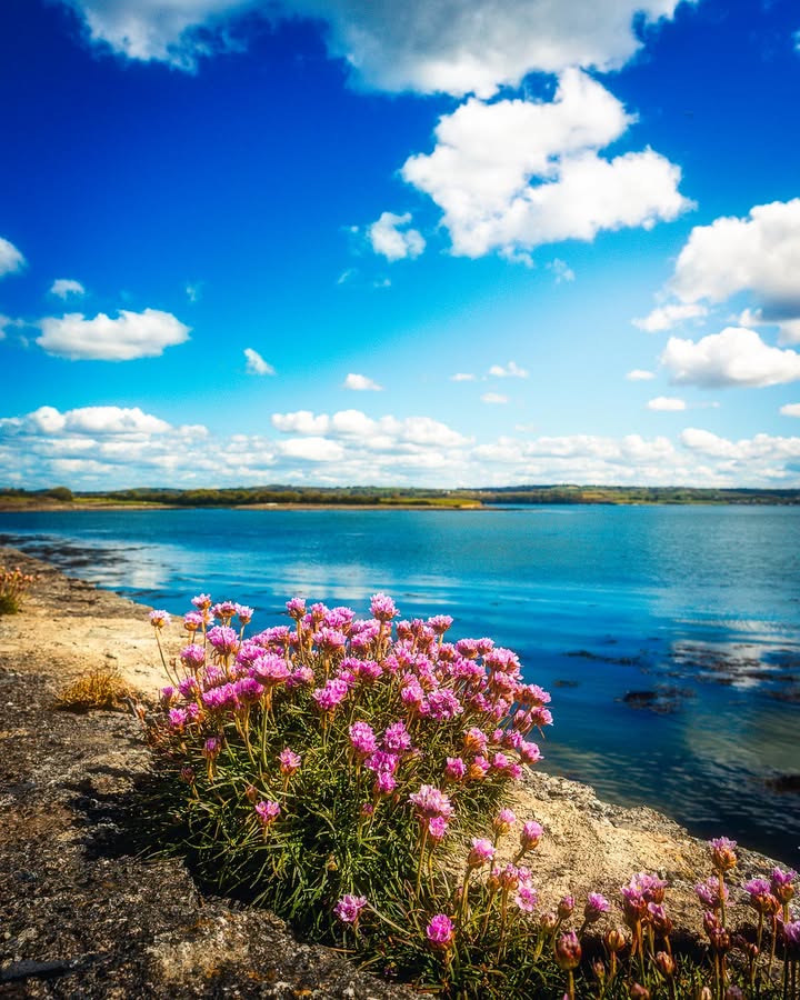 James A. Truett I Artist