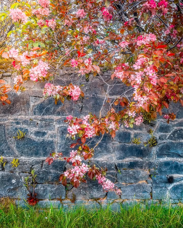 James A. Truett I Artist