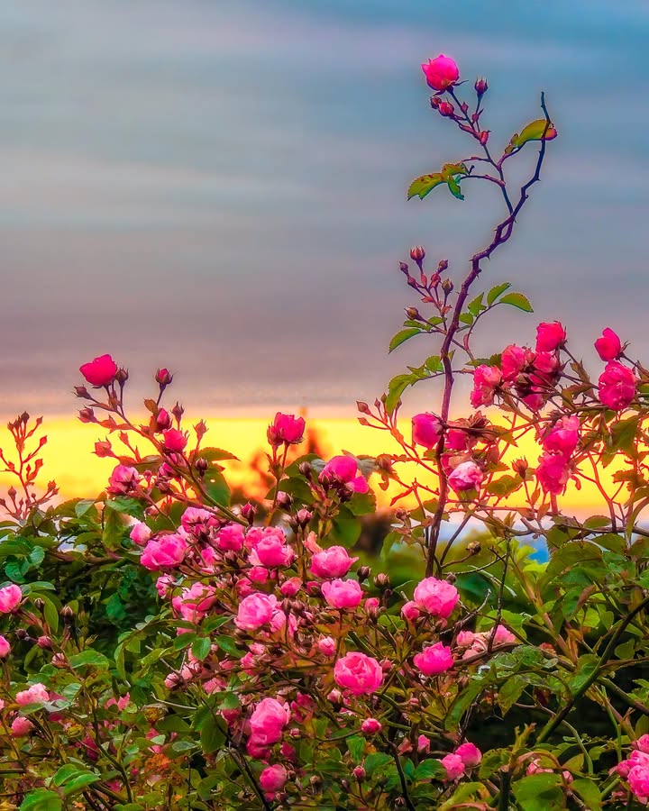 James A. Truett I Artist