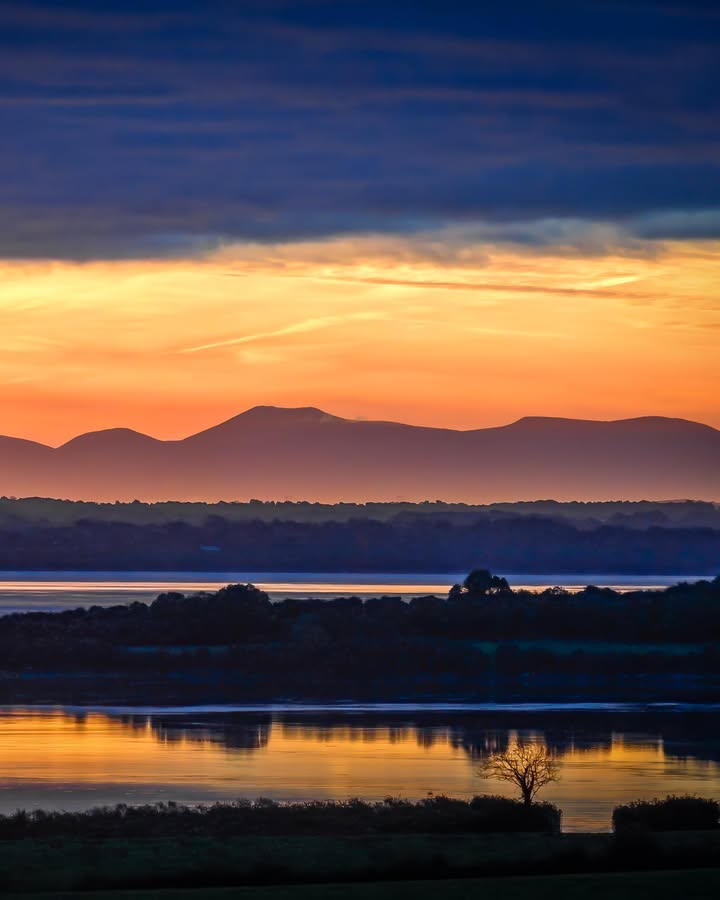 James A. Truett I Artist