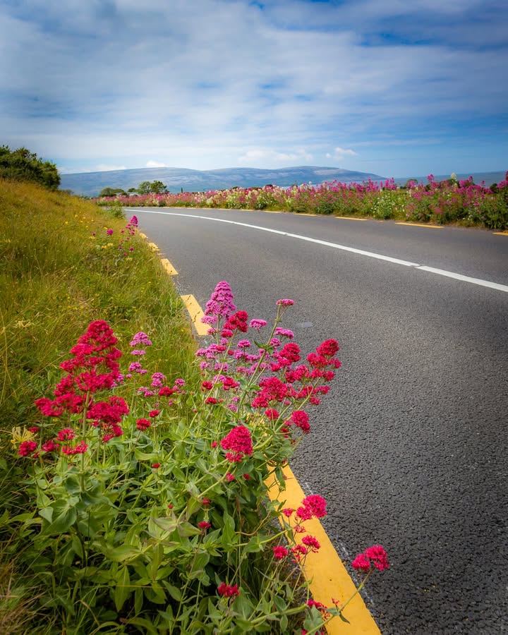 James A. Truett I Artist