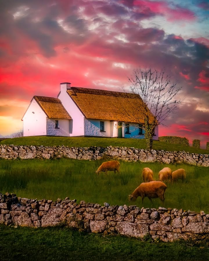 James A. Truett I Artist
